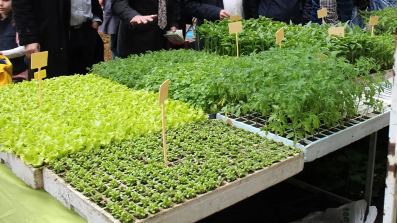 Se podr&aacute;n adquirir numerosos ejemplares