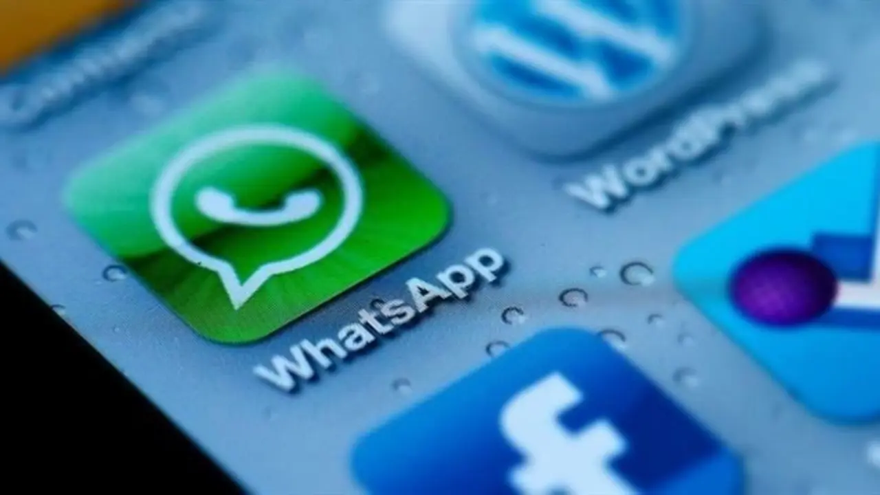Cerca de 100 grupos de WhatsApp ten&iacute;an tem&aacute;tica ped&oacute;fila