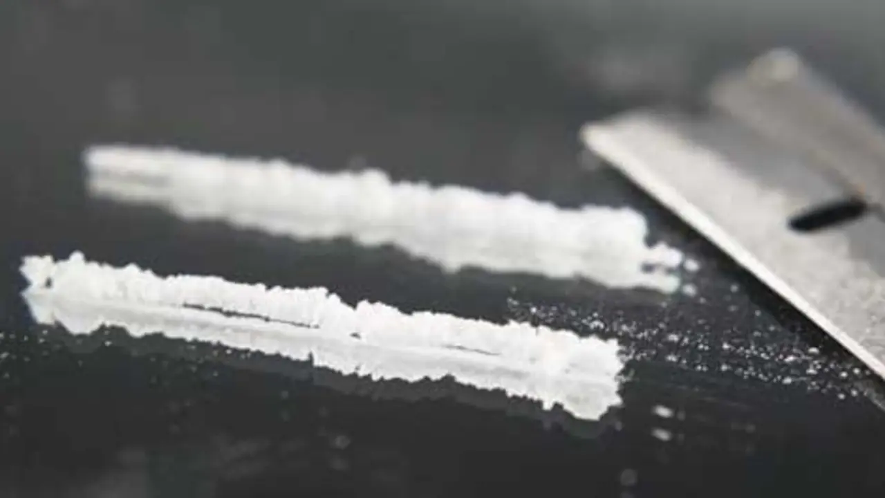 La cantidad total de la droga podr&iacute;a haber tenido un valor en el mercado negro cercano a los 90.000 euros