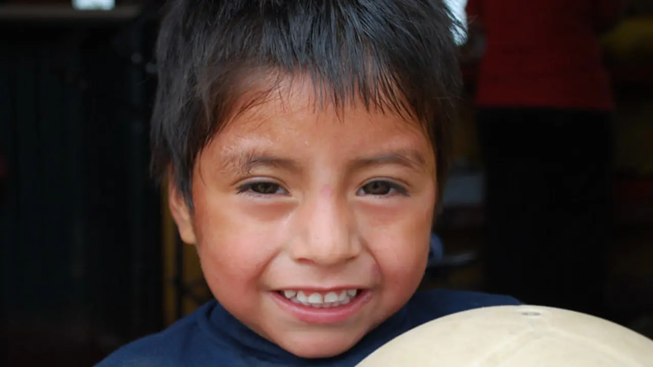 Se colaborar&aacute; con pa&iacute;ses en v&iacute;as de desarrollo