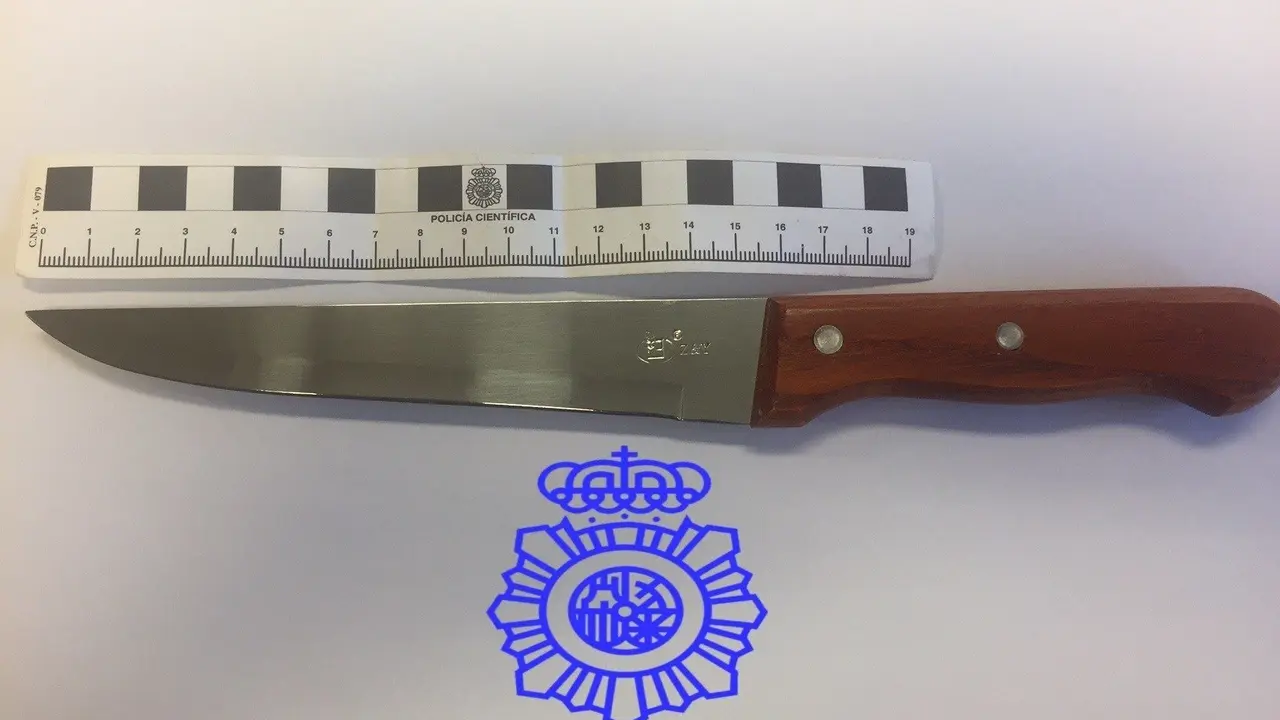 fotonoticia_20171120113659_1920