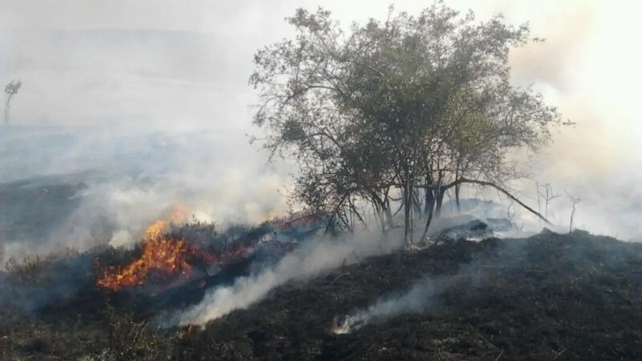 fotonoticia_20171123102304_1920