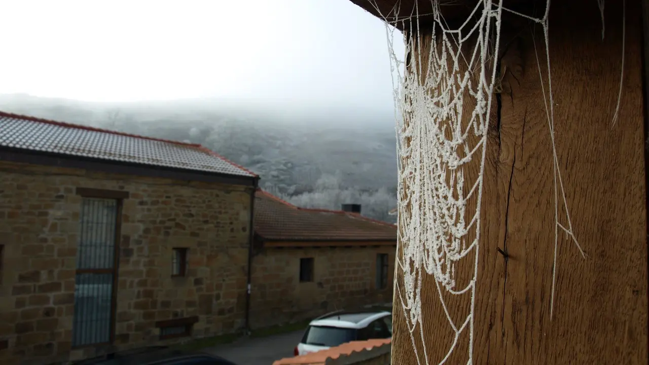 fotonoticia_20171205091957_1920