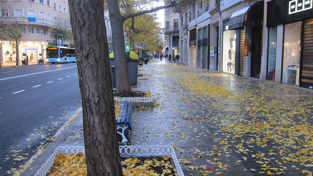 fotonoticia_20171212095643_1920