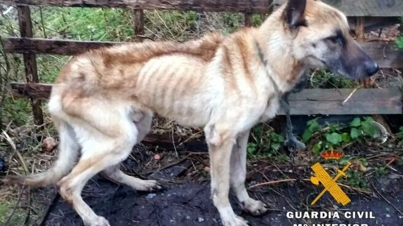 fotonoticia_20171215140111_1920