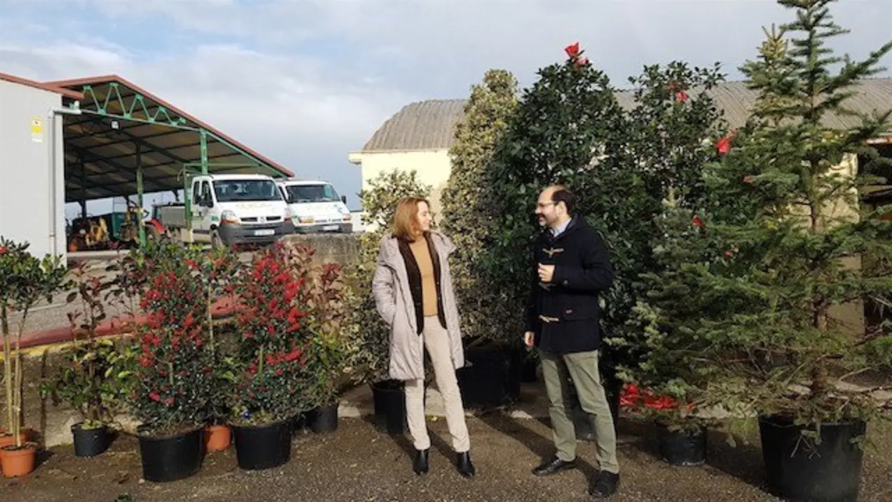 Campa&ntilde;a del &aacute;bol de Torrelavega