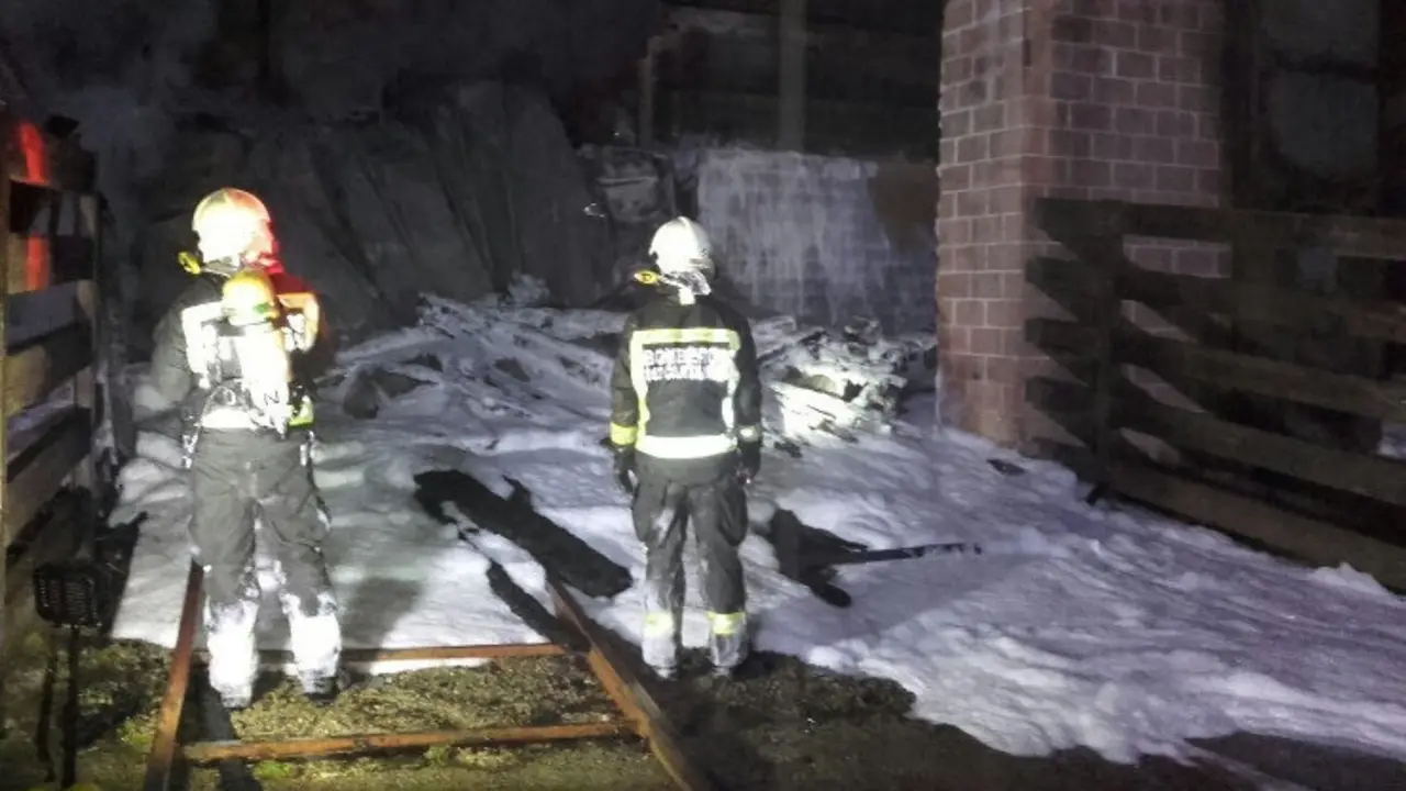 Bomberos tras sofocar el incendio en el Parque de la Naturaleza de Cab&aacute;rceno