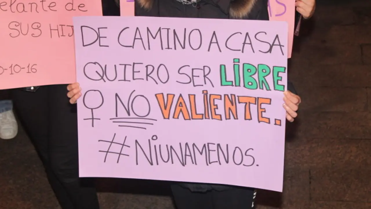 Cartel de una manifestaci&oacute;n contra la violencia de g&eacute;nero