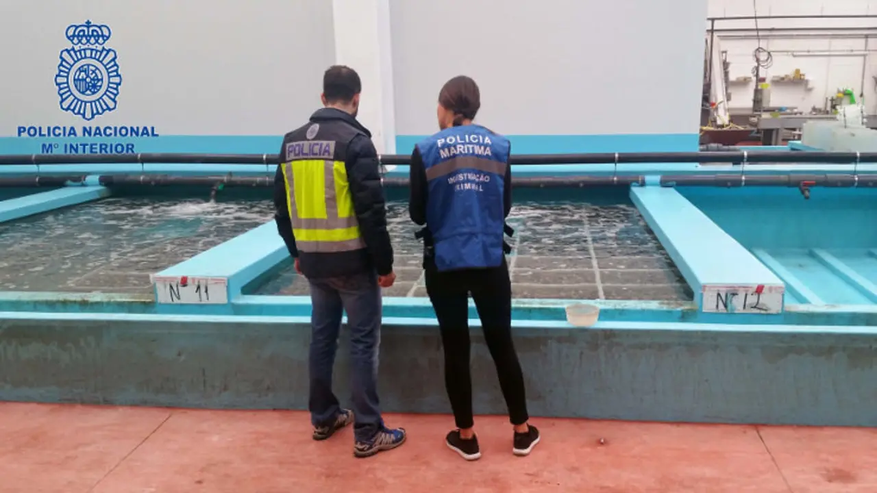 Registros y operaciones policiales en el marco de la operaci&oacute;n