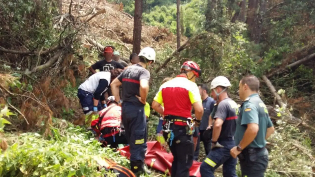 Herido grave tras caerle una rama