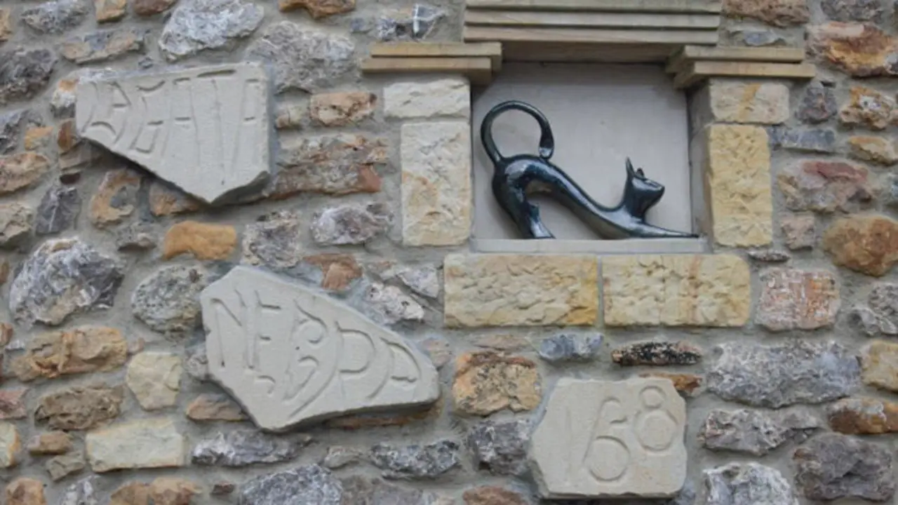 Asociaciones-han-pedido-can