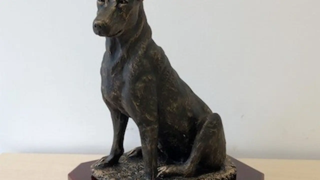 premio 'Excalibur, Ciudad de Torrelavega'