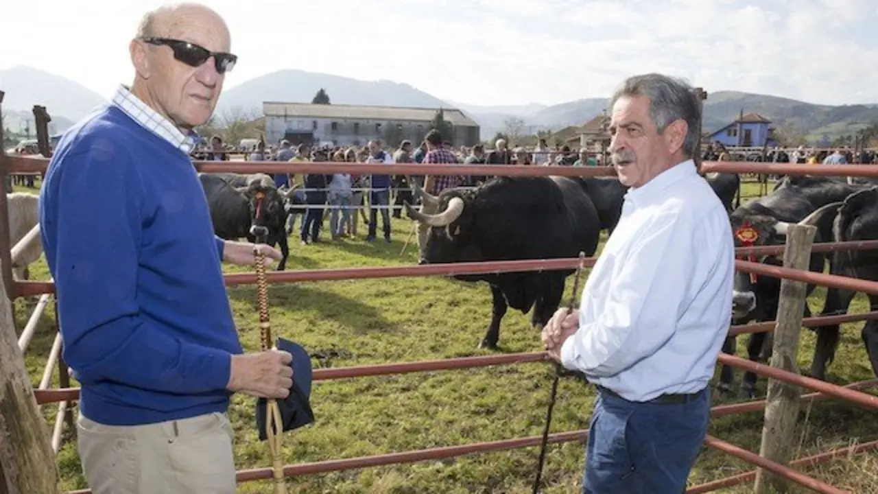Feria anual de San Felices de Buelna