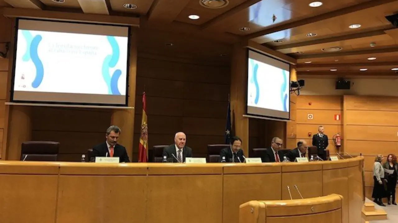 Presentaci&oacute;n del informe