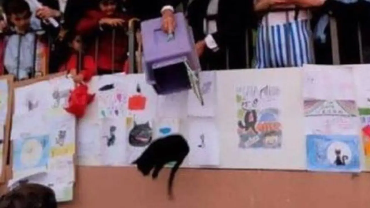 'Suelta de la Gata Negra' en Carasa, municipio de Voto