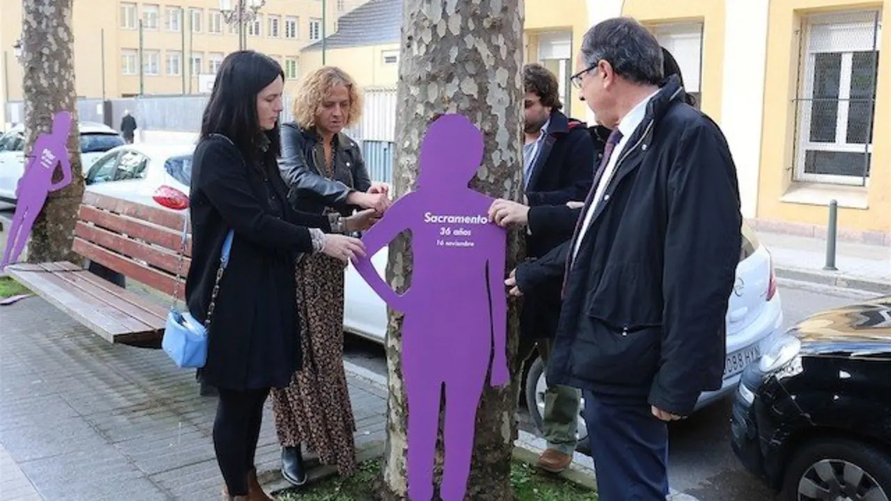 Colocaci&oacute;n de las siluetas