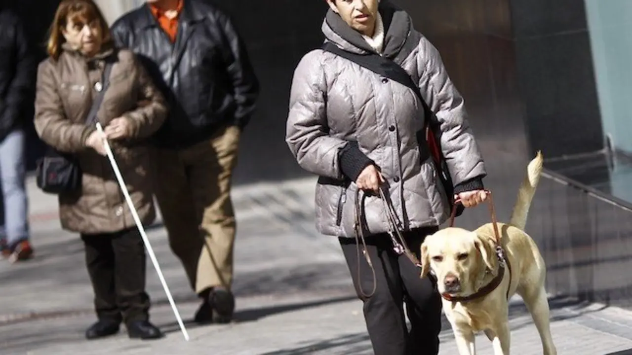 Poblaci&oacute;n con discapacidad