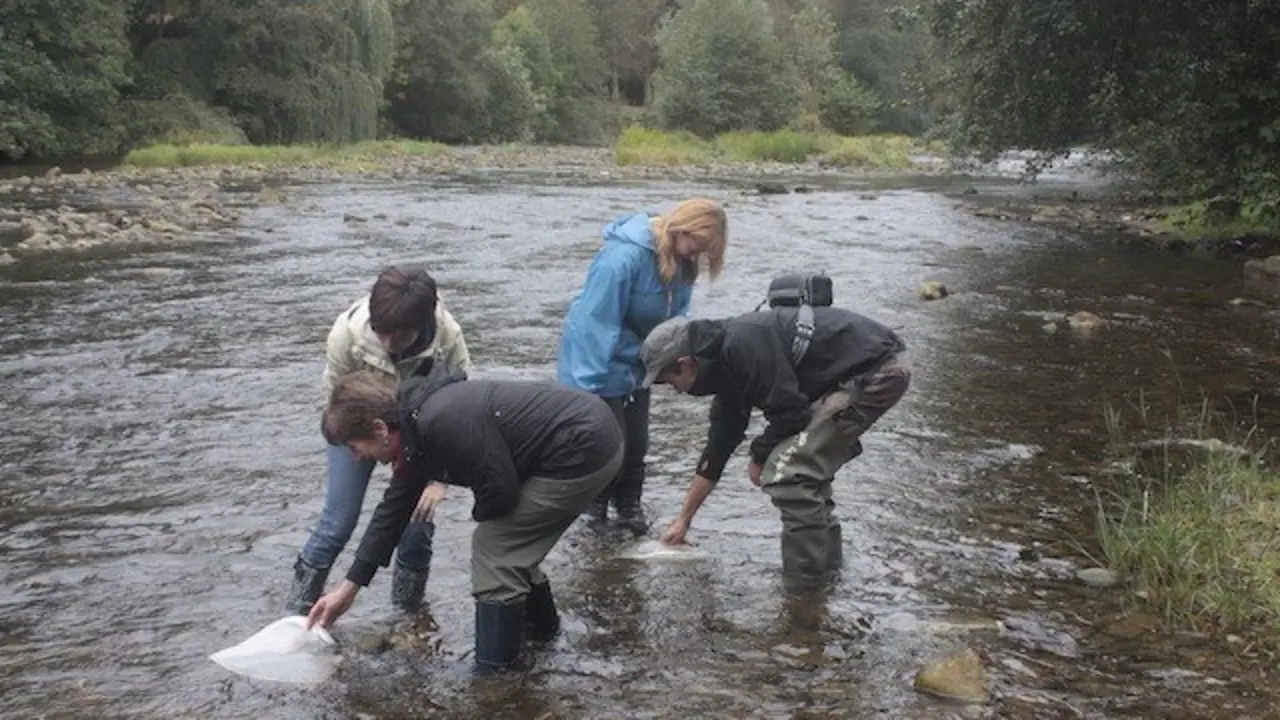 Proyecto R&iacute;os