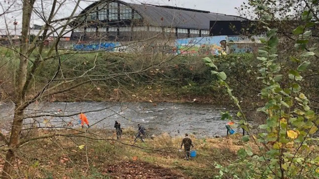 Suelta de alevines de salm&oacute;n