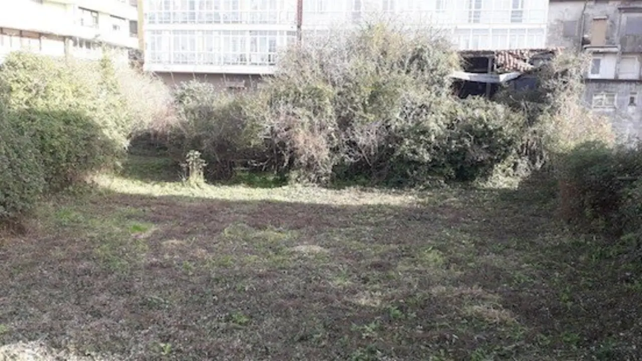 Imagen de los solares