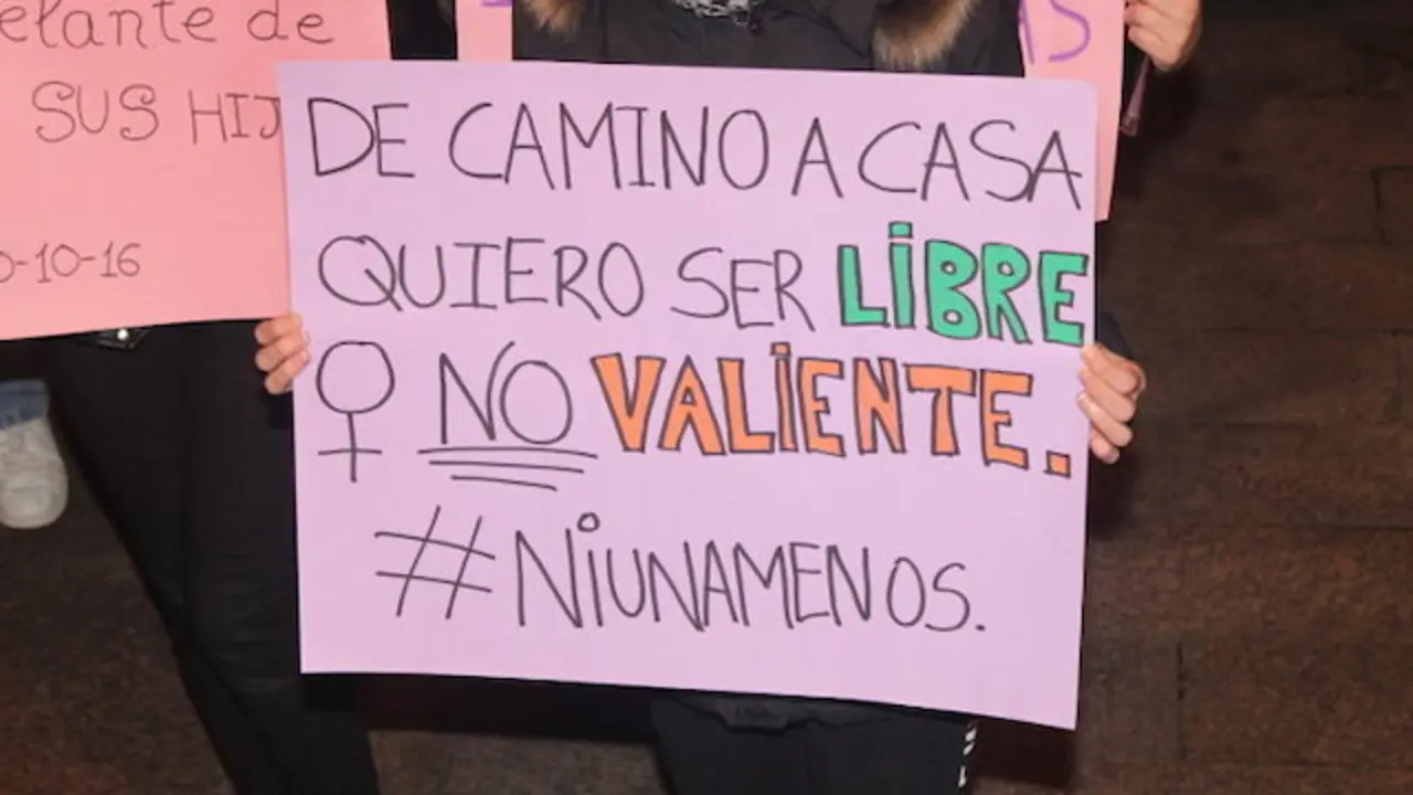Cartel de una manifestaci&oacute;n contra la violencia de g&eacute;nero. Foto- edc