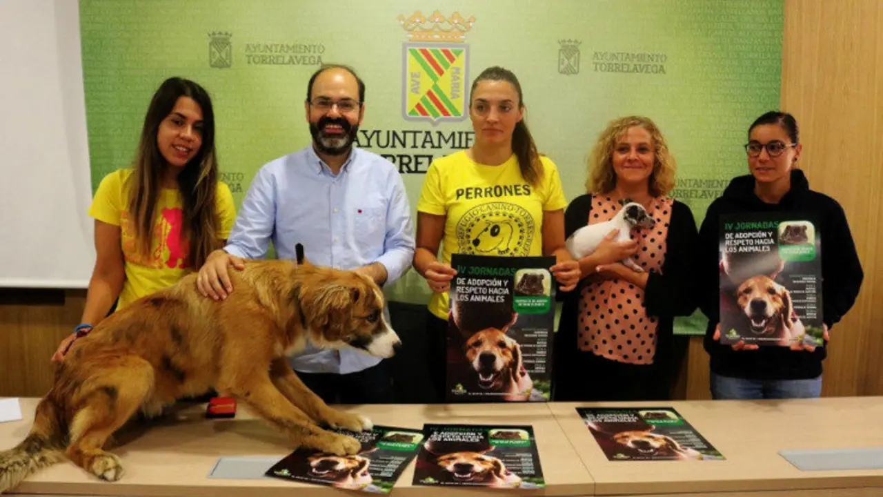 bff47af7018f4f166ef78d16222649e2_XL