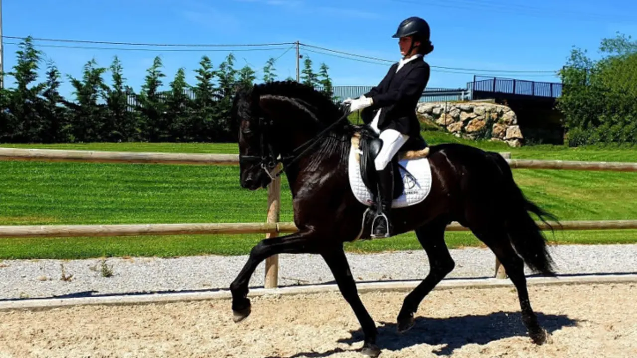 EuropaPress_2261833_Doma_cl&aacute;sica