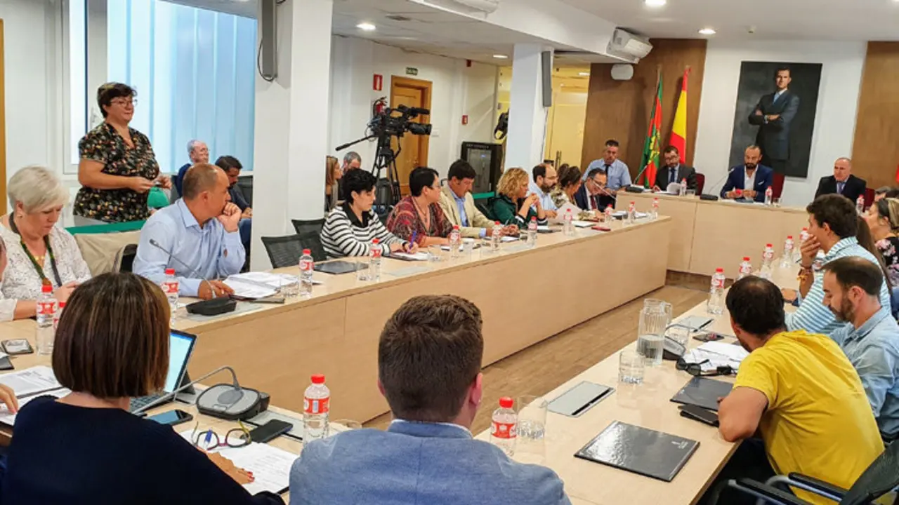 Pleno del Ayuntamiento