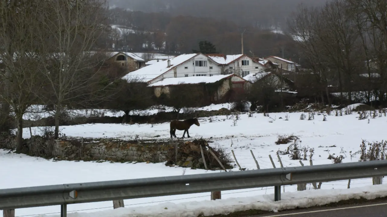 Primeras nieves en las carreteras