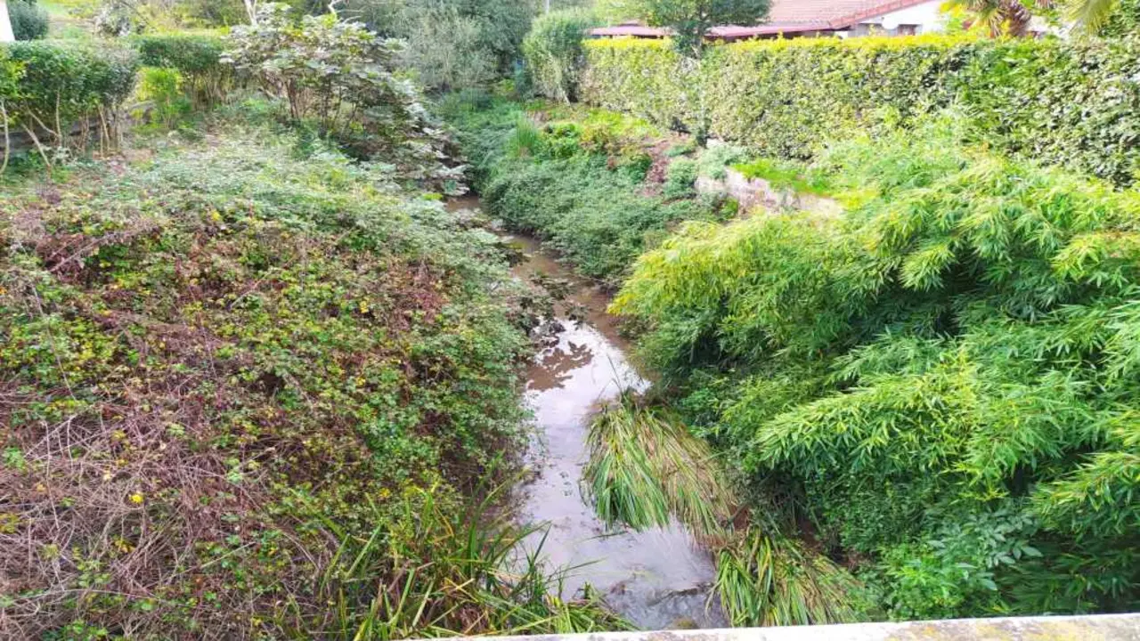 Limpieza en el r&iacute;o Cabo