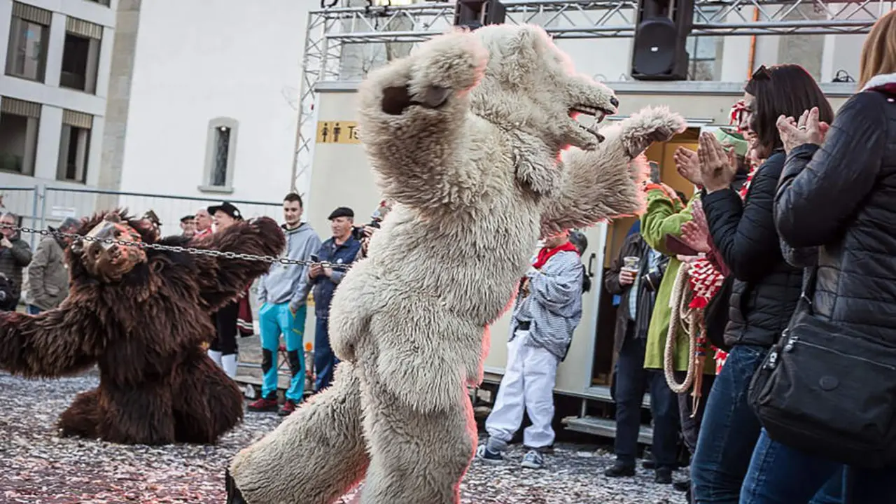 Mascaradas de invierno, La Vijanera