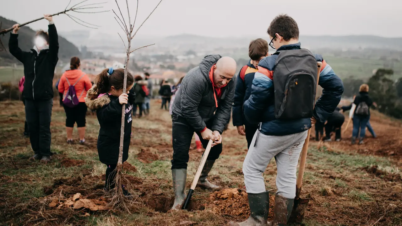 Plantaci&oacute;n de &aacute;rboles. Foto| Archivo