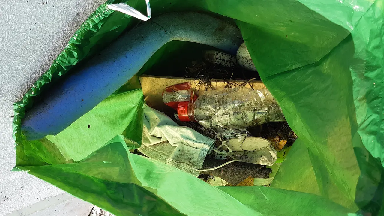 Mascarillas y guantes entre los residuos recogidos del litoral