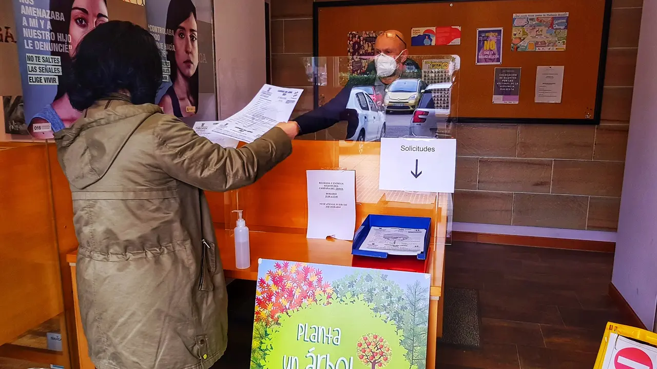 La campa&ntilde;a del &aacute;rbol de Torrelavega ha batido este a&ntilde;o r&eacute;cord de participaci&oacute;n