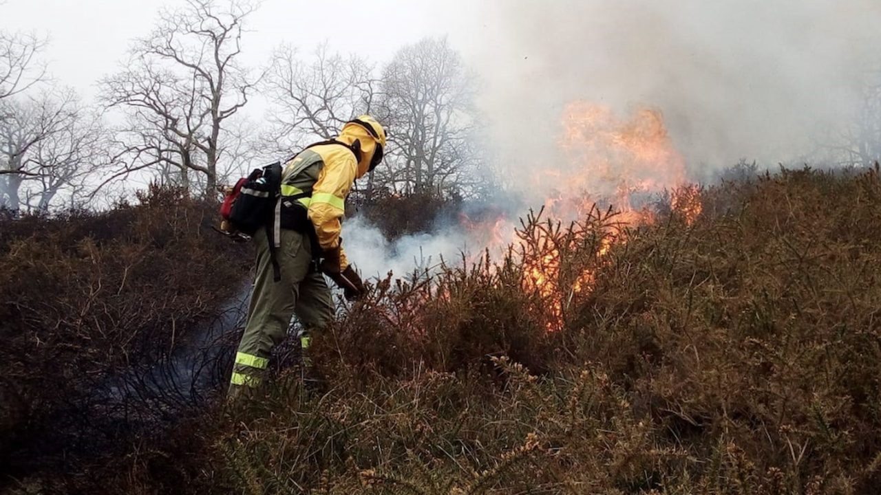 Incendios forestales en Cantabria