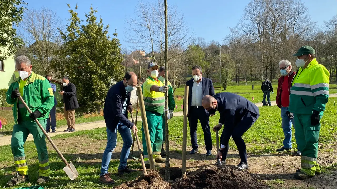 Plantaci&oacute;n de un &aacute;rbol en el parque Miravalles