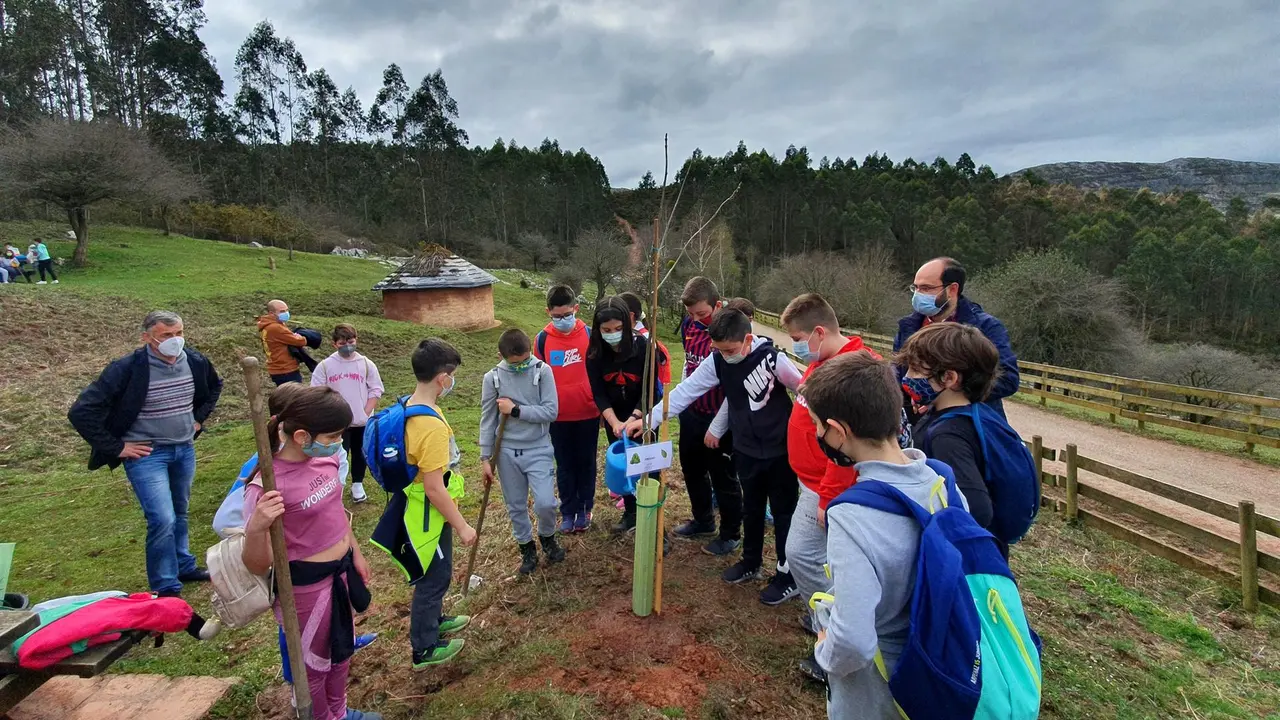 Los alumnos del colegio Dobra plantan árboles en la Fuente de las Palomas