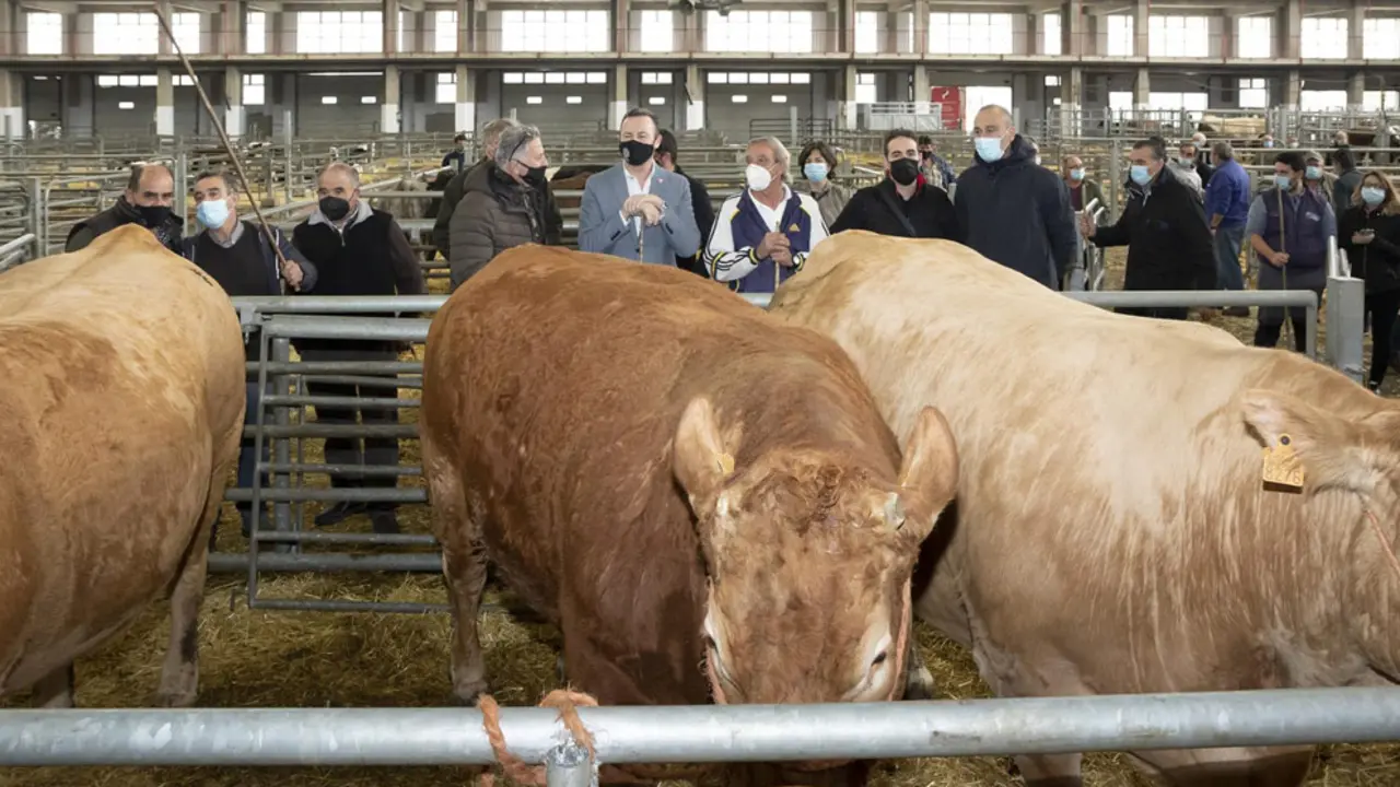 El Consejero de Desarrollo Rural, Ganadería, Pesca, Alimentación y Medio Ambiente, Guillermo Blanco, visita el Mercado Nacional de Ganados, junto al alcalde de Torrelavega, Javier López Estrada