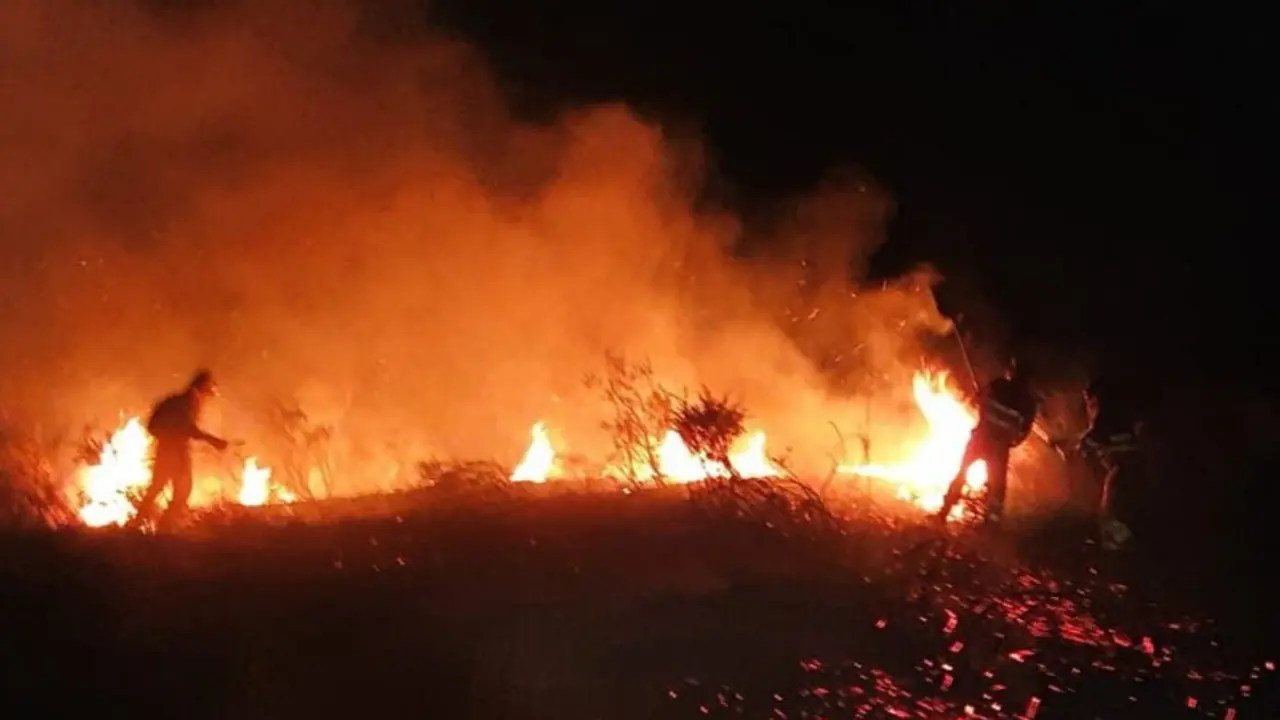 Incendio forestal