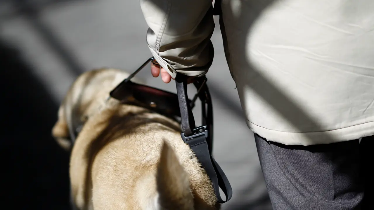 La ONCE ha entregado cuatro perros guía en Cantabria