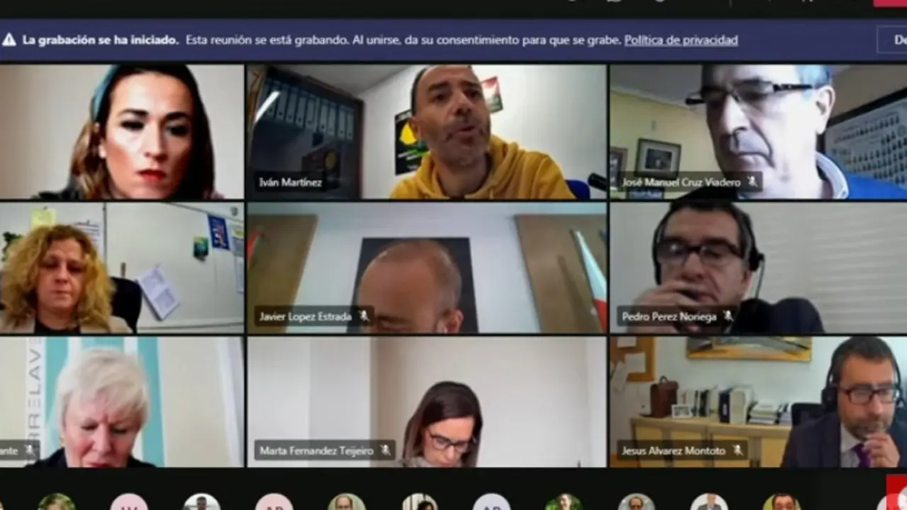 Celebración telemática del Pleno