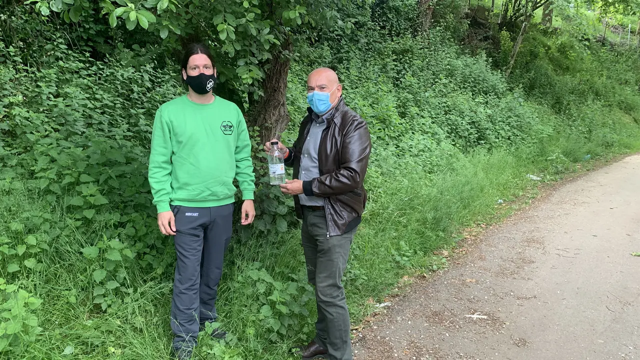 Trampeo avispa asi&aacute;tica en Pi&eacute;lagos