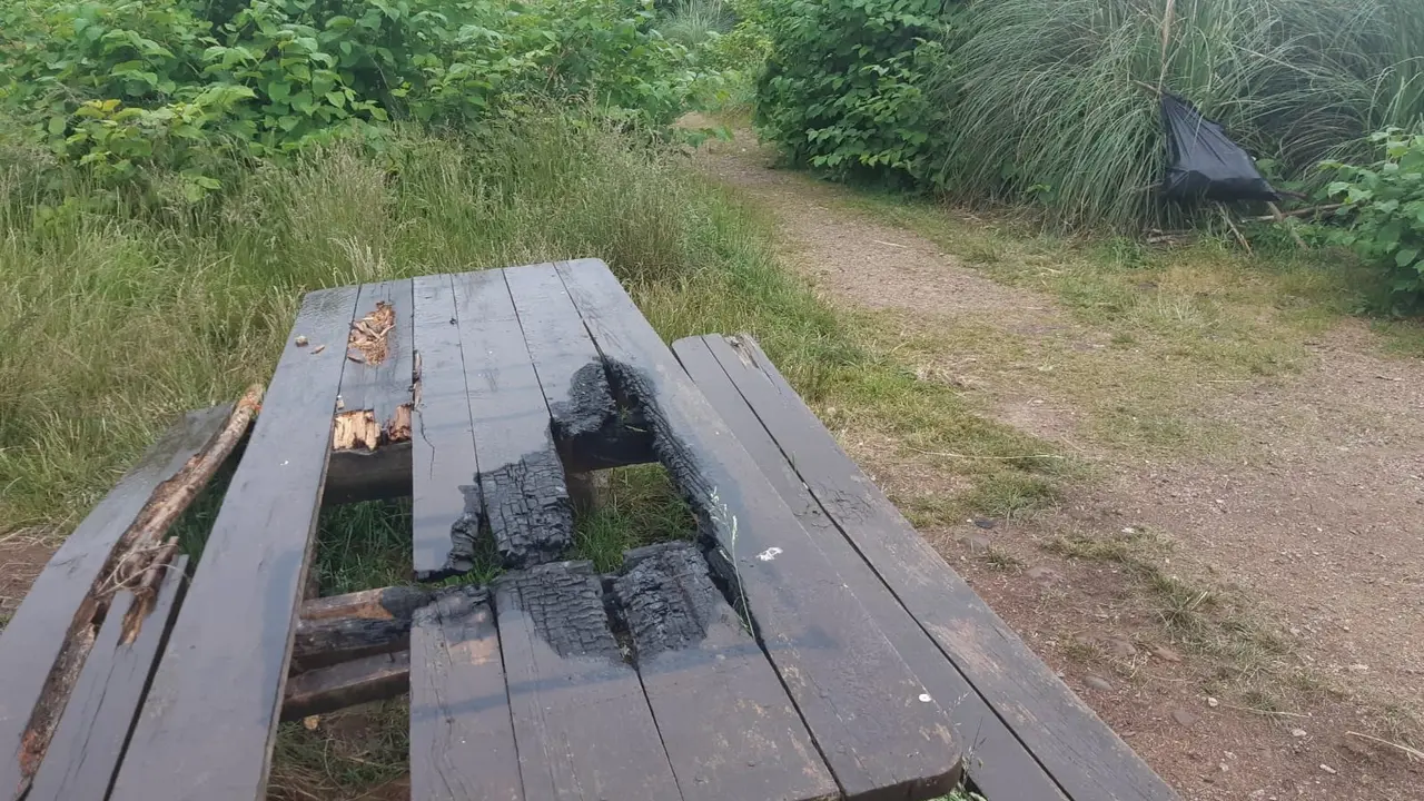 Zona del m&aacute;rgen del Besaya