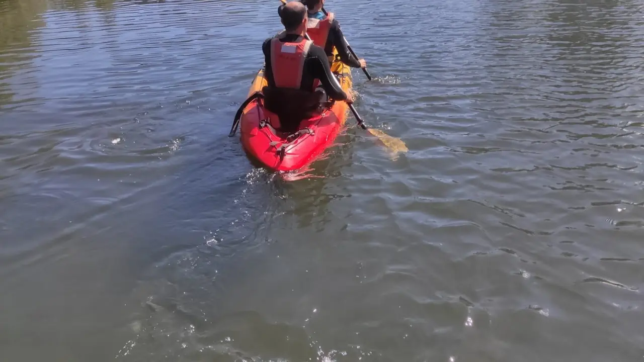 Ruta en canoa por el Saja-Besaya