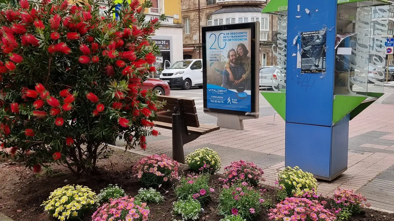 Plantas de temporada en Torrelavega