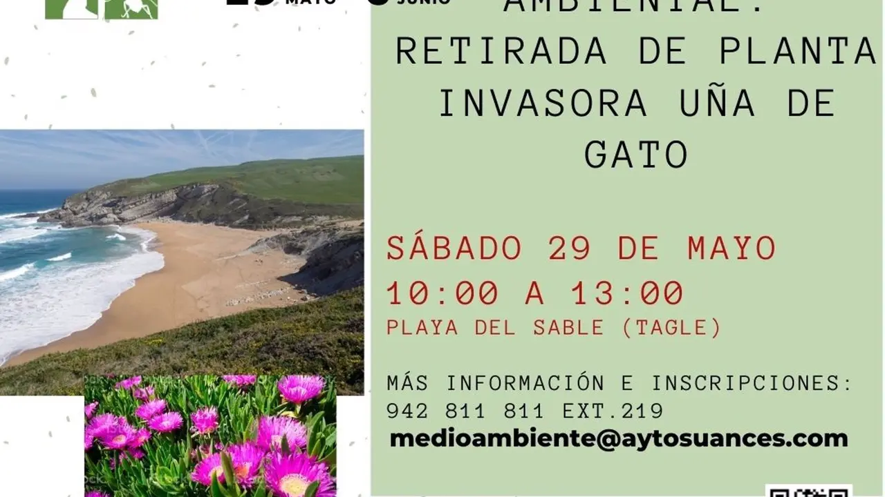 Cartel de la jornada de voluntariado contra la uña de gato