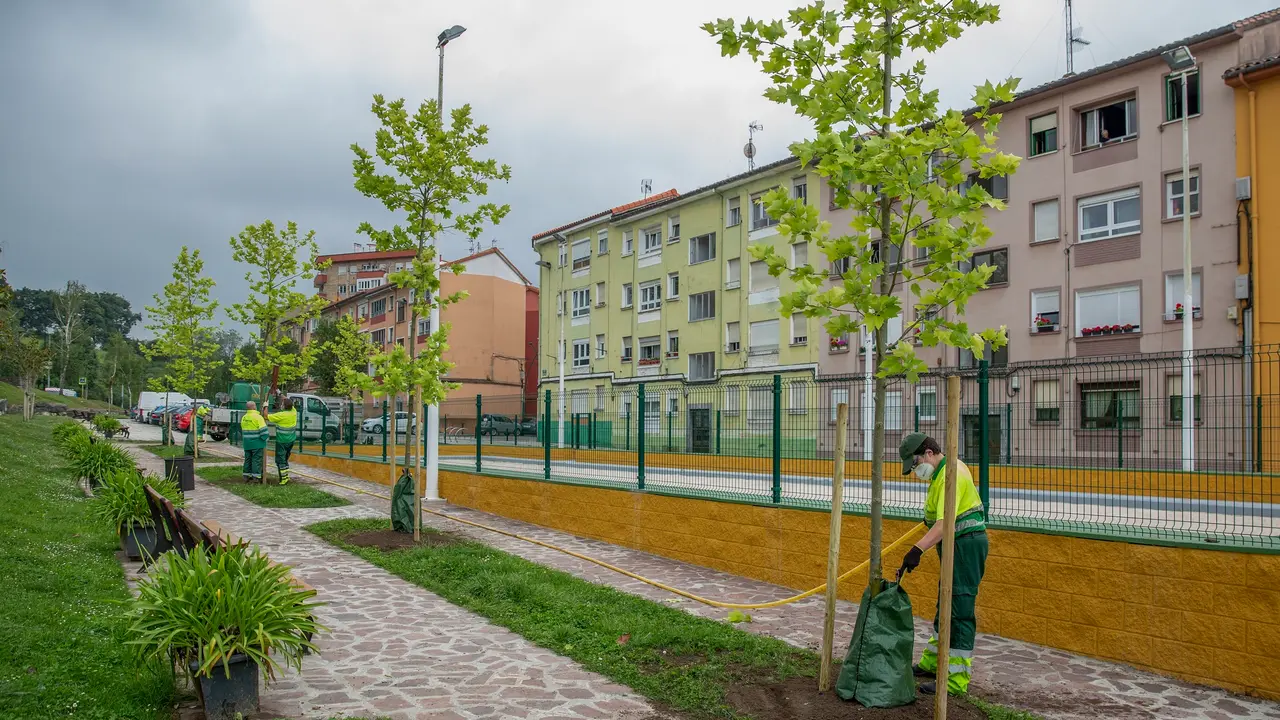 Plantaci&oacute;n de arbolado en Torrelavega