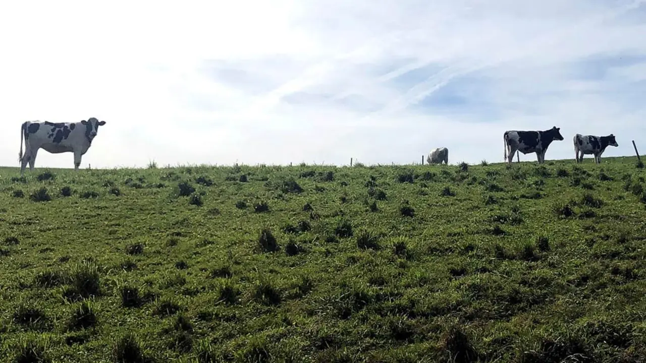 La Comisión Europea aprueba la propuesta de Desarrollo Rural que posibilitará la %22rápida%22 incorporación de recursos económicos