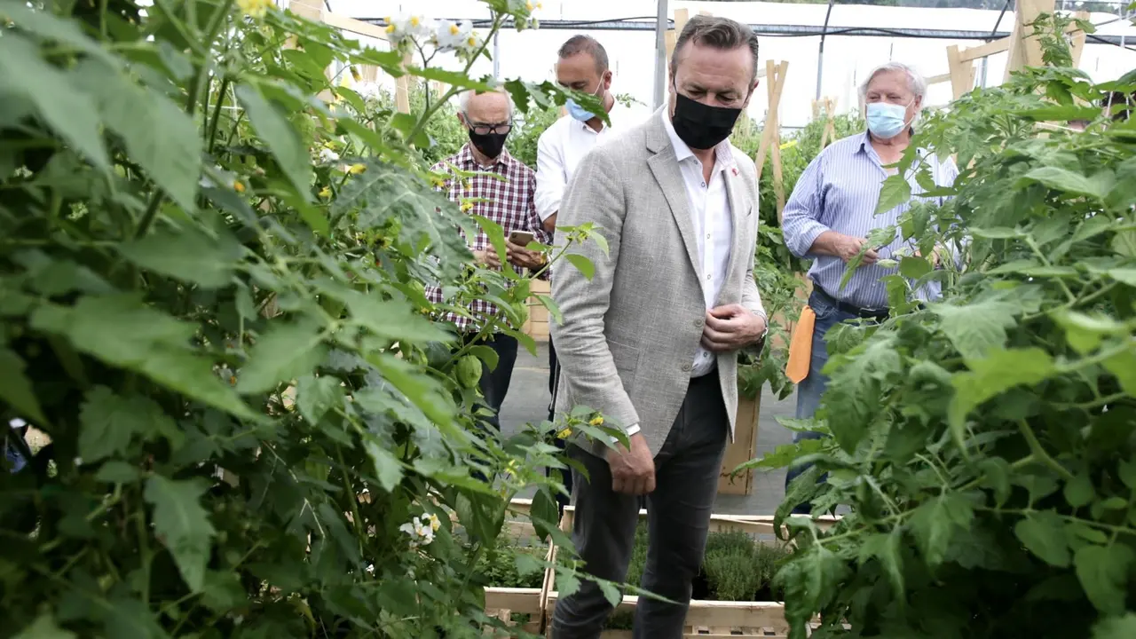 Guillermo Blanco, consejero de Alimentación