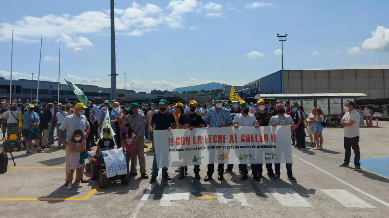 Ganaderos cántabros protestan por los bajos precios de la leche. Foto| Archivo
